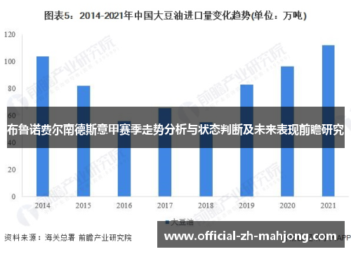 布鲁诺费尔南德斯意甲赛季走势分析与状态判断及未来表现前瞻研究