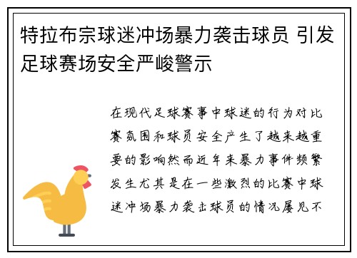 特拉布宗球迷冲场暴力袭击球员 引发足球赛场安全严峻警示